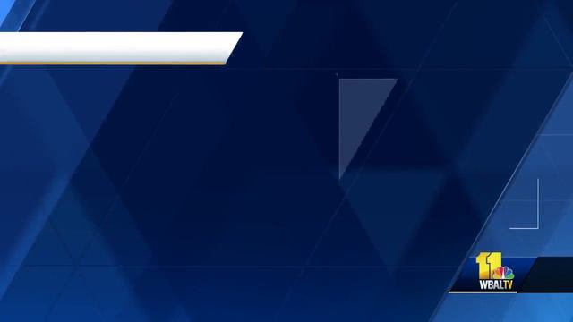 Plant Quesitons: How do I care for air plants? смотреть онлайн