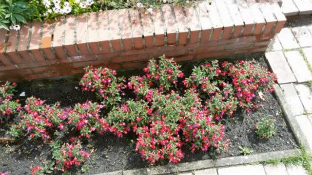 ШКОЛЬНАЯ ПОРА!!! смотреть онлайн