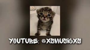 рандом песни