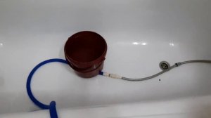 Подмена воды. Неубиваемые цихлиды.