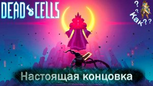 Dead Cells | Настоящая концовка + Открываем Белый костюм короля. (Спойлеры!)