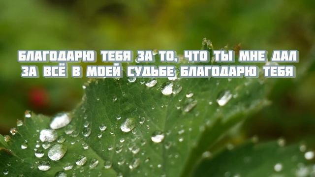 Благодарю Тебя, Спаситель🙏🏻⛪️Братья из Молдавии 🎵🪷.
