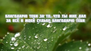 Благодарю Тебя, Спаситель🙏🏻⛪️Братья из Молдавии 🎵🪷.