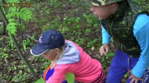 Мелаша с Беби Боном Тёмой собирают в лесу грибы! ???