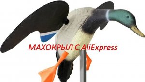 МАХОКРЫЛ с AliExpress. Обзор.