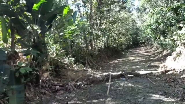 COLD STEEL BLACK BEAR BOWIE смотреть онлайн