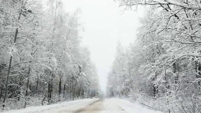 ДОРОГА В СКАЗОЧНЫЙ, ЗИМНИЙ ЛЕС❄❄?? смотреть онлайн