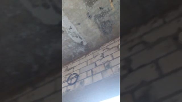 В навом доме потекли плиты перекрытия смотреть онлайн
