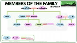 Members of the Family in English