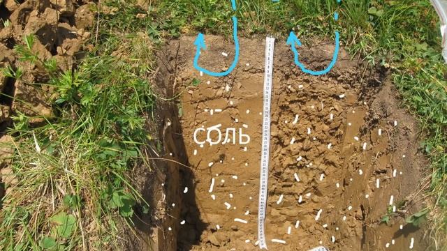 Щелочная почва 2. Содовый солончак.
