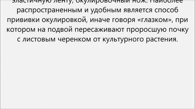 Как привить мандарин смотреть онлайн