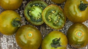 SEED STORIES | Green Doctors: A Favorite Green Cherry Tomato!