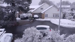 С ДНЁМ 8го МАРТА, МОИ ДОРОГИЕ, ИЗ ЗАСНЕЖЕННОГО ЮЖНОГО УЭЛЬСА:)