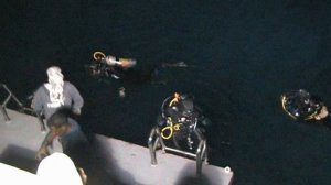 Дайв-Сафари Красное море  2008г