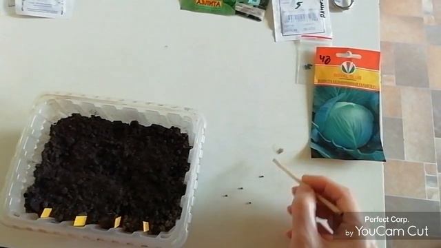 Посев капусты. смотреть онлайн