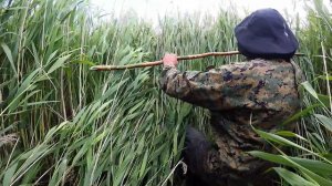 Отдых на озере Освея, Беларусь