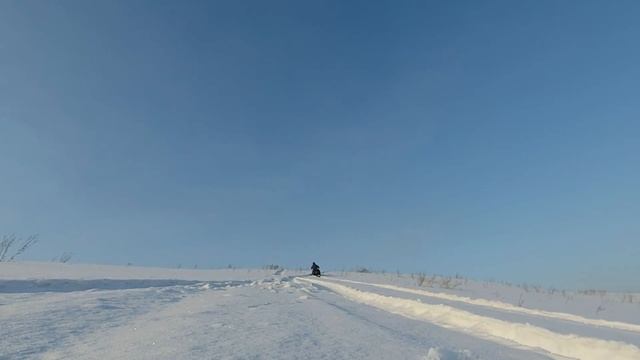 Тофалар 500 Лонг. По заячьим тропам. Прогуливаю тофика.