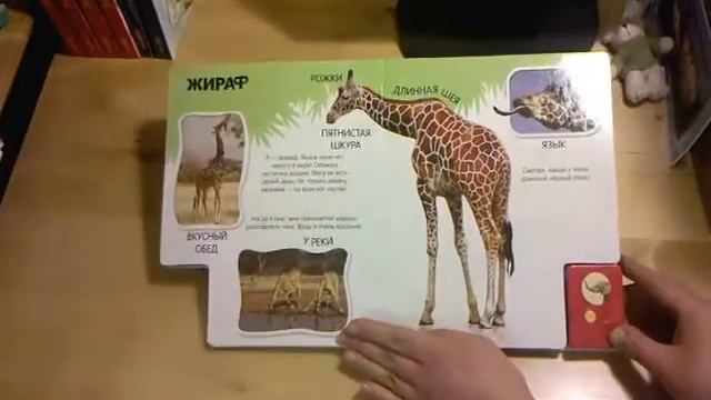 Про слона великана смотреть онлайн