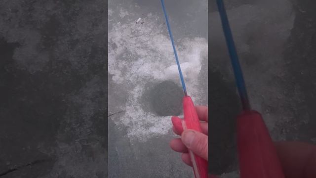 Подлёдная рыбалка ленка на реке Хор смотреть онлайн