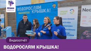 Водорослям крышка | Запуск мальков