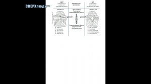 Владимир Бронников Как раскрыть сверхспособности