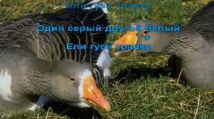 Караоке для детей Два весёлых гуся
