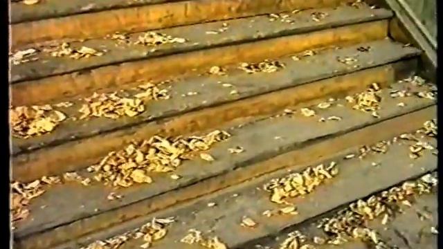 Усолье Сибирское  История курорта