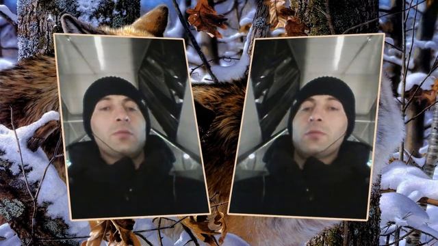 Любимой от Батика смотреть онлайн