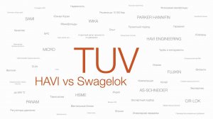 HAVI vs Swagelok: взаимозаменяемость и совместимость