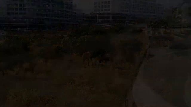 White City Turkey Турция Аланья Тюрклер Анталия Turkler Antalia Средиземное море побережье отель se