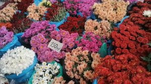 Цветочный рынок Краснодар обзор 7 11 21 г