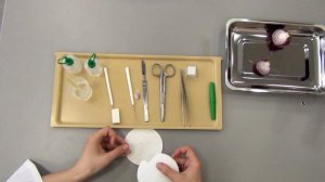 Плазмолиз и деплазмолиз в растительной клетке