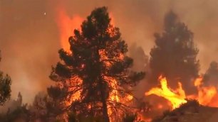 В окрестностях Валенсии пришлось эвакуировать 1,5 тысячи человек из-за лесных пожаров