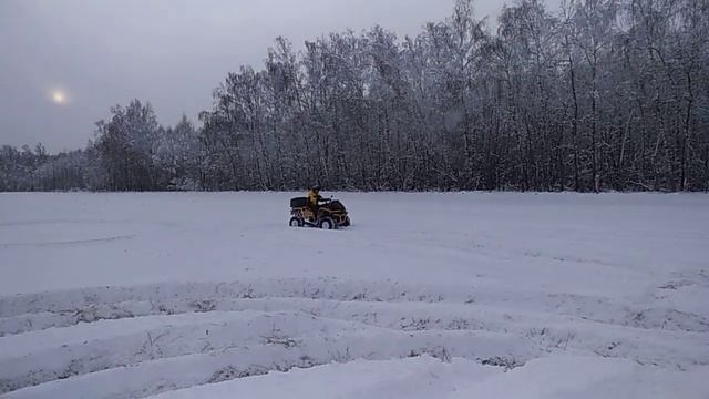 Гепард по снегу смотреть онлайн