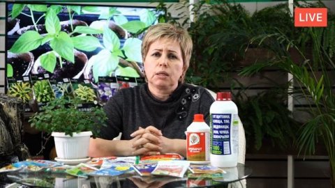 Весенняя обработка сада ? Какие препараты использовать? ? Полезные советы садоводам прямой эфир