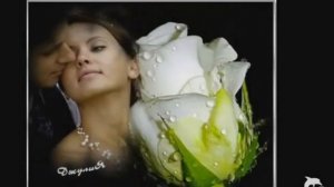 Для прекрасных дам -песня- поёт Роман Шабельник