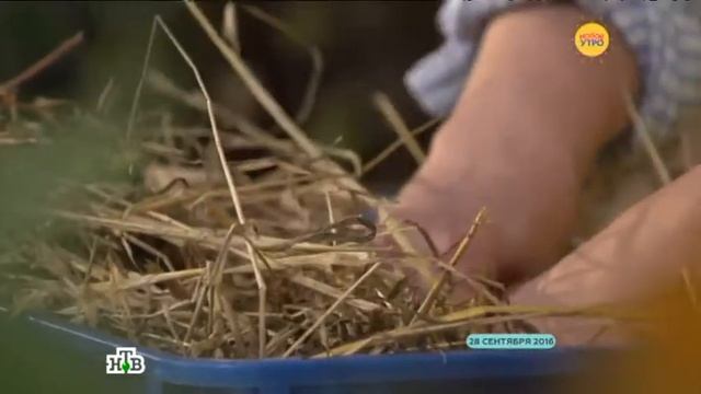 Хранение овощей в квартире смотреть онлайн