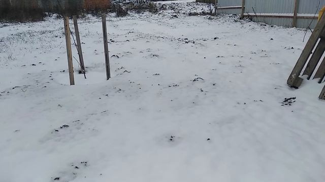 Компостирование пищевых отходов в посадочных ямах деревьев смотреть онлайн