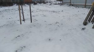 Компостирование пищевых отходов в посадочных ямах деревьев