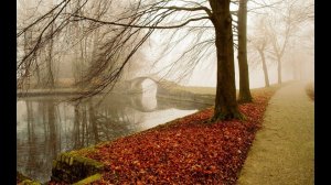 Облетают последние маки...