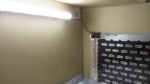 Самодельный брудер из картонной коробки