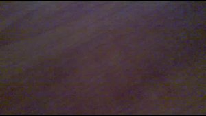 губная гармошка