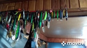 рыбалка на Волге , Камызякский район поселок Кировский р. Кизань , база У Олега .