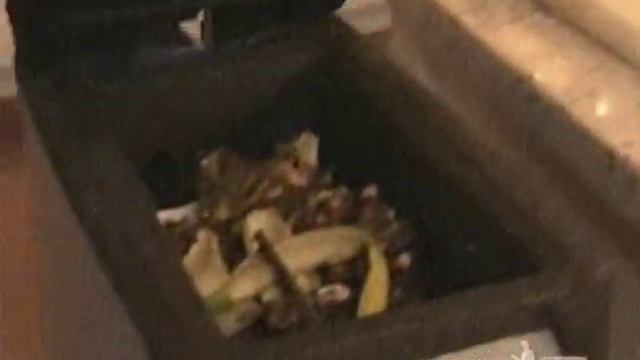 NatureMill HistoryChannel смотреть онлайн