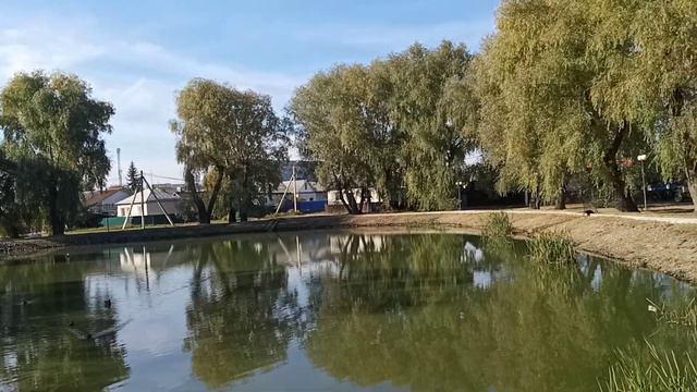 уток стало больше чем летом смотреть онлайн