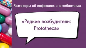 Редкие возбудители Prototheca