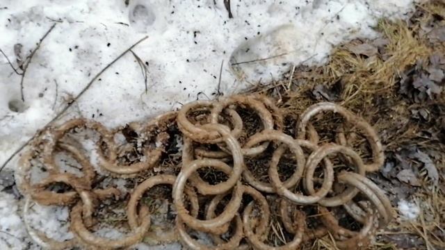 Смотреть #МЕТАЛЛОКОП,#XTERRA705 МЕГАЦЕПЬ ИЗ НЕРЖАВЕЙКИ 37кг. 2 КОЛЕСА ОТ ГРУЗОВИКА И МНОГОЕ ДРУГОЕ. смотреть онлайн