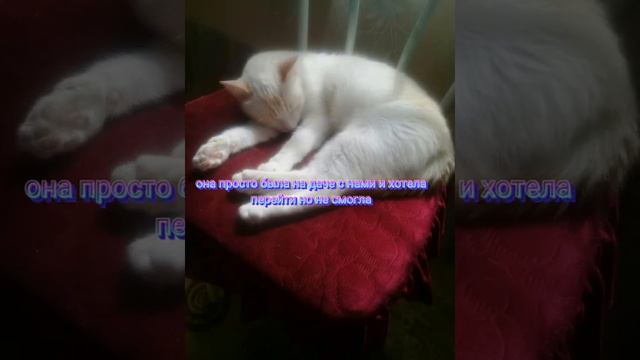 почему не выходят видео