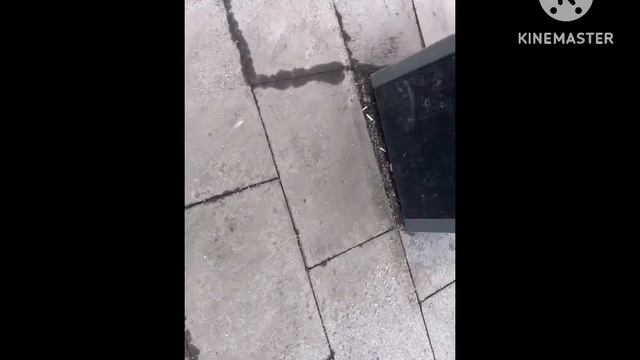 Домашний влог/праздник девочек) смотреть онлайн