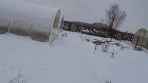 ГУСИ-УТКИ ОБЗОР В ДЕРЕВНЕ